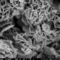 SAPO-34 비석 인 알루미늄 규산염 촉매 작은 숨구멍
